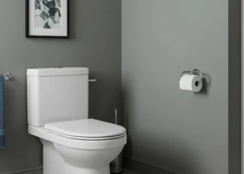 Toilet whistles when flushed