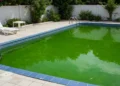 Why Is My Pool Green
