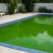 Why Is My Pool Green
